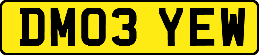 DM03YEW