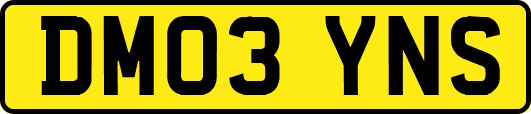 DM03YNS