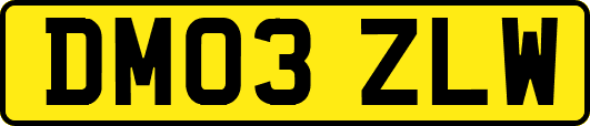 DM03ZLW