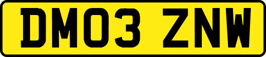 DM03ZNW