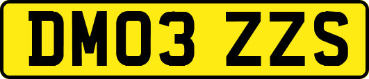DM03ZZS