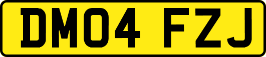 DM04FZJ
