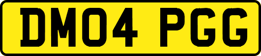 DM04PGG