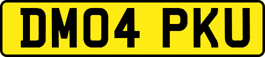 DM04PKU