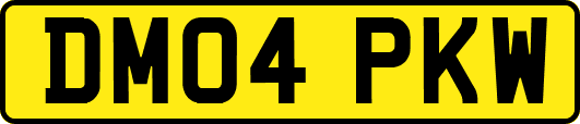 DM04PKW