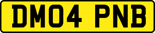 DM04PNB
