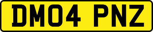 DM04PNZ