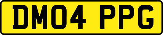 DM04PPG