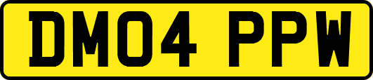 DM04PPW