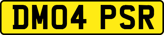 DM04PSR