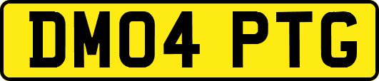 DM04PTG