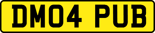 DM04PUB