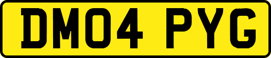 DM04PYG