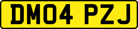 DM04PZJ