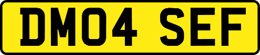 DM04SEF