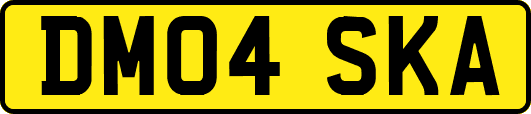 DM04SKA