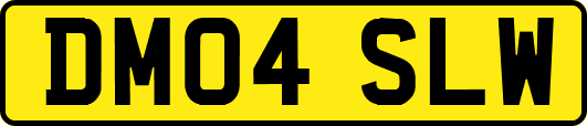 DM04SLW