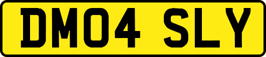 DM04SLY