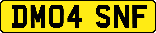 DM04SNF