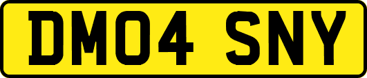 DM04SNY