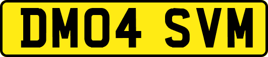 DM04SVM