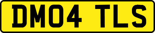 DM04TLS