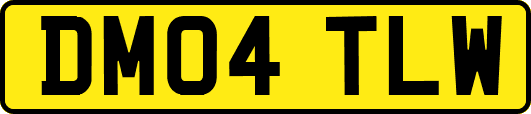 DM04TLW