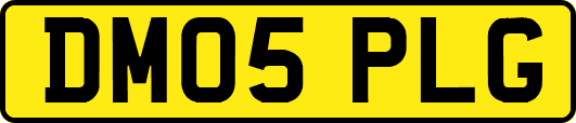 DM05PLG