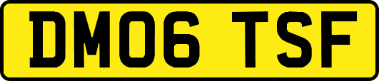 DM06TSF