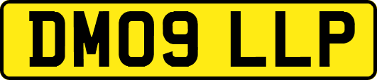 DM09LLP