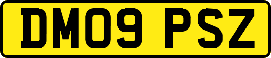 DM09PSZ