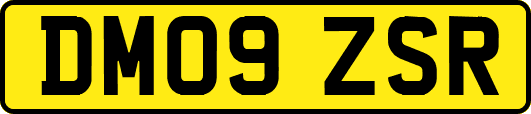 DM09ZSR