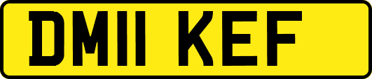 DM11KEF