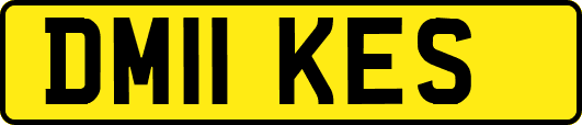 DM11KES