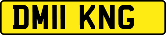 DM11KNG