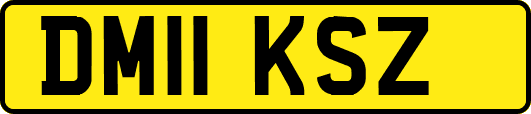 DM11KSZ