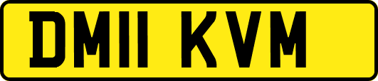 DM11KVM
