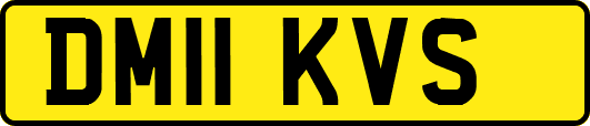 DM11KVS