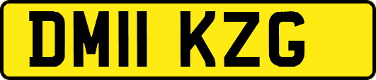 DM11KZG