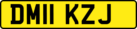 DM11KZJ