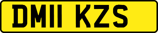 DM11KZS