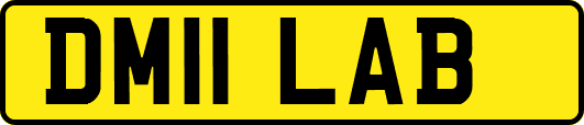 DM11LAB