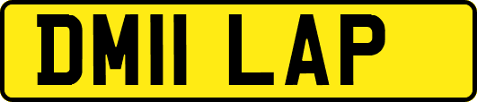 DM11LAP