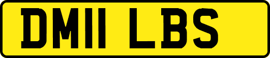 DM11LBS