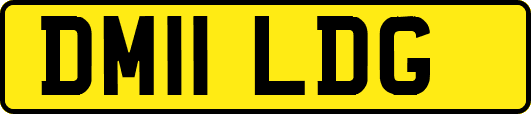 DM11LDG