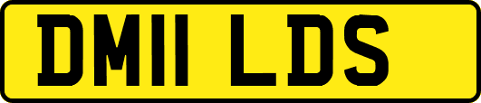 DM11LDS