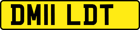 DM11LDT