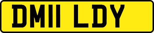 DM11LDY