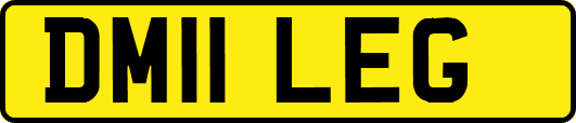 DM11LEG