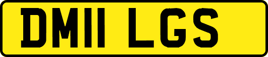 DM11LGS